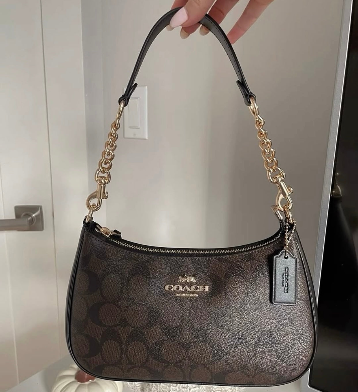 Coach Teri Bag with Brand Box- Same as Original
