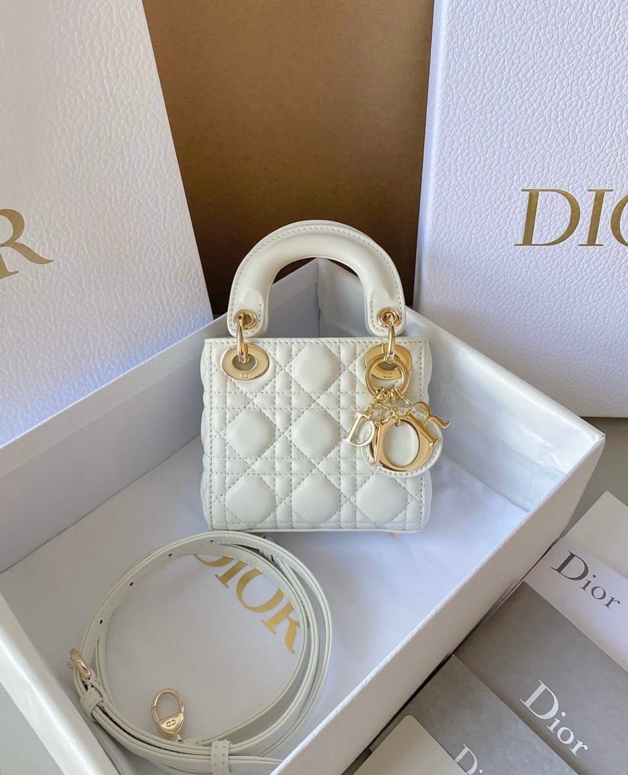 Lady Dior Mini Bag with Brand Box