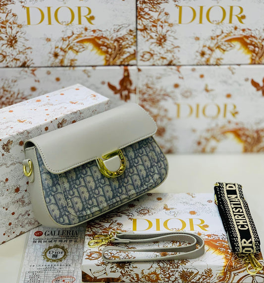 Dior Bag with Brand Box