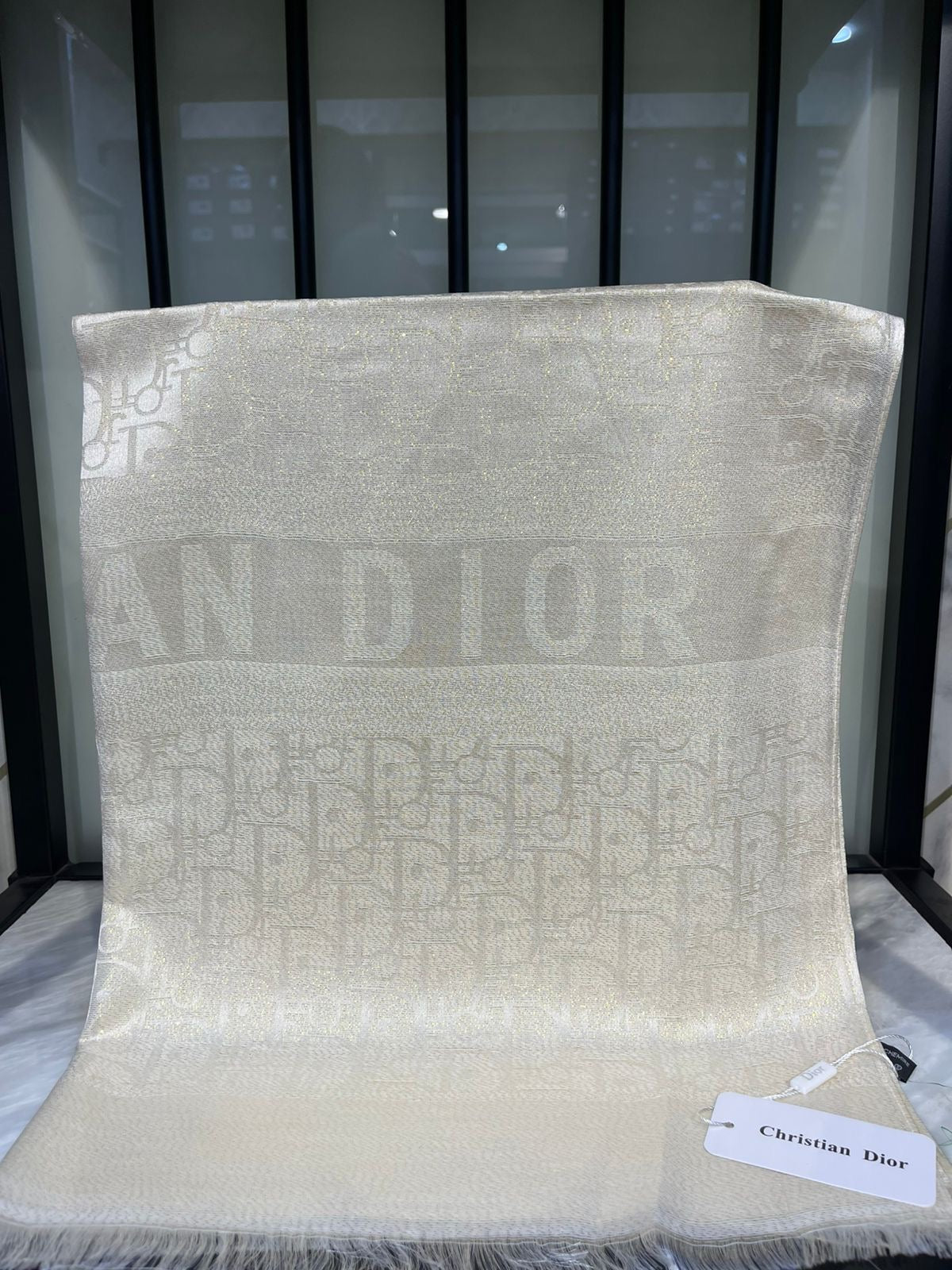 Christian Dior Scarf
