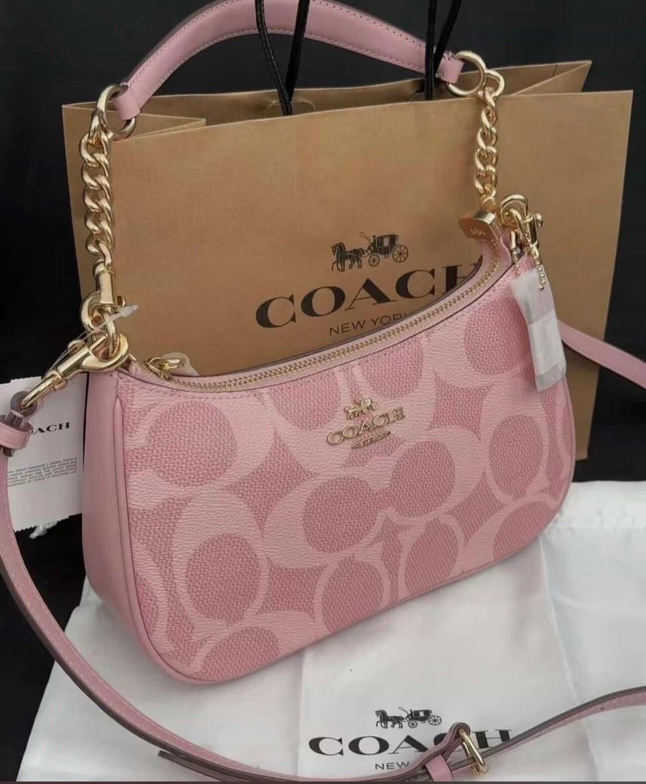 Coach Teri with Brand Box - Same as Original