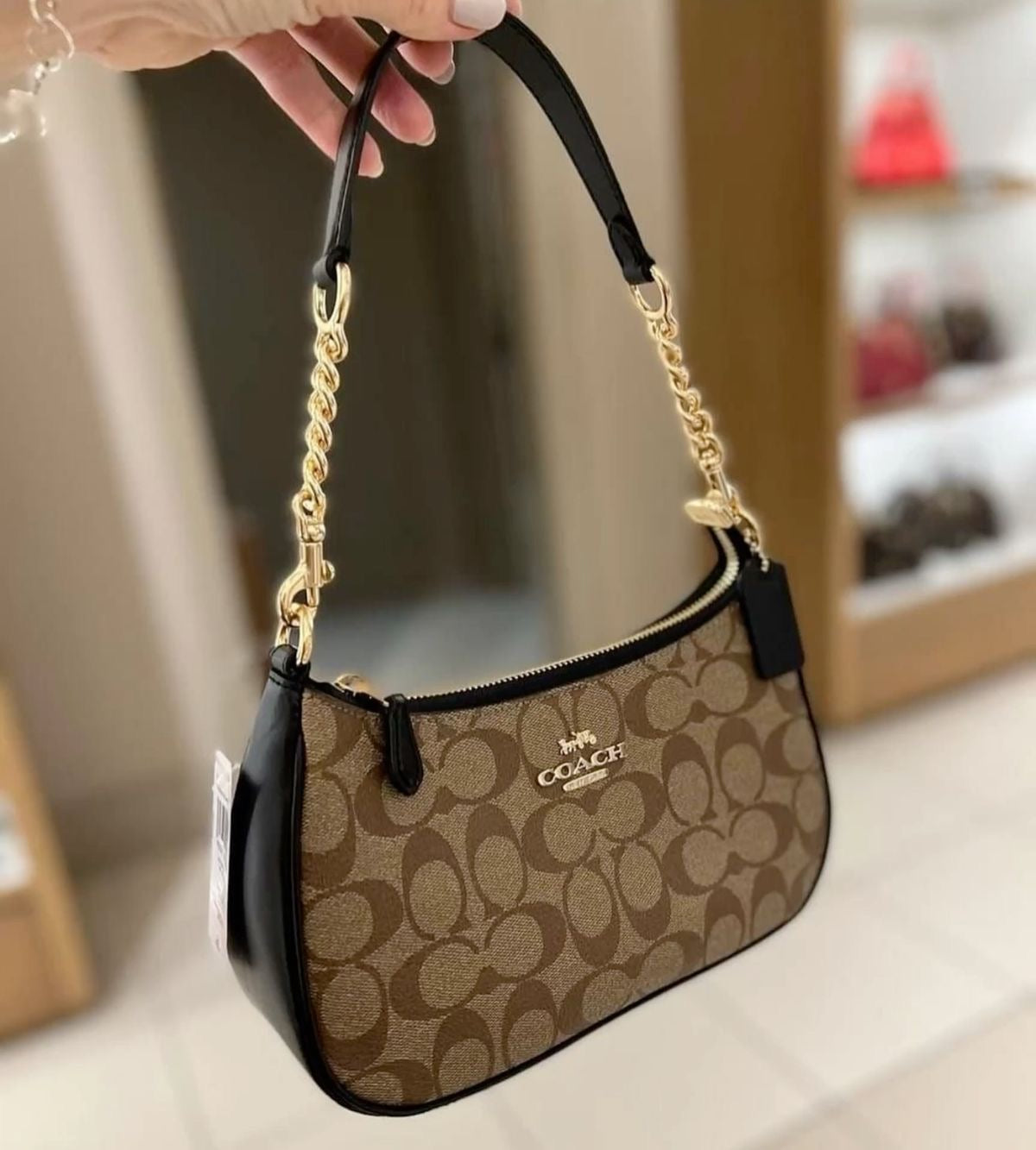 Coach Teri Bag with Brand Box- Same as Original