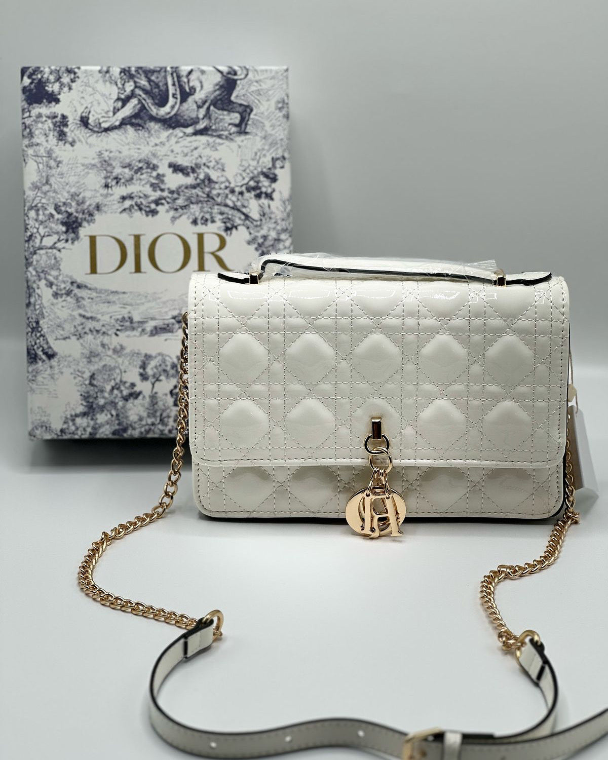 Dior Bag with Brand Box