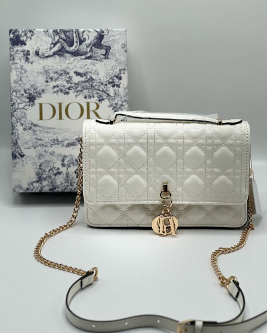 Dior Bag with Brand Box