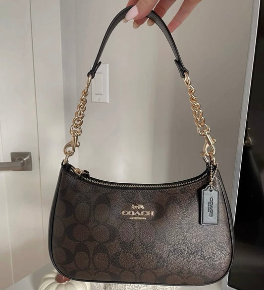 Coach Teri Bag with Brand Box- Same as Original