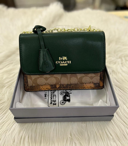 Coach Handbag with Brand Box- Green Color