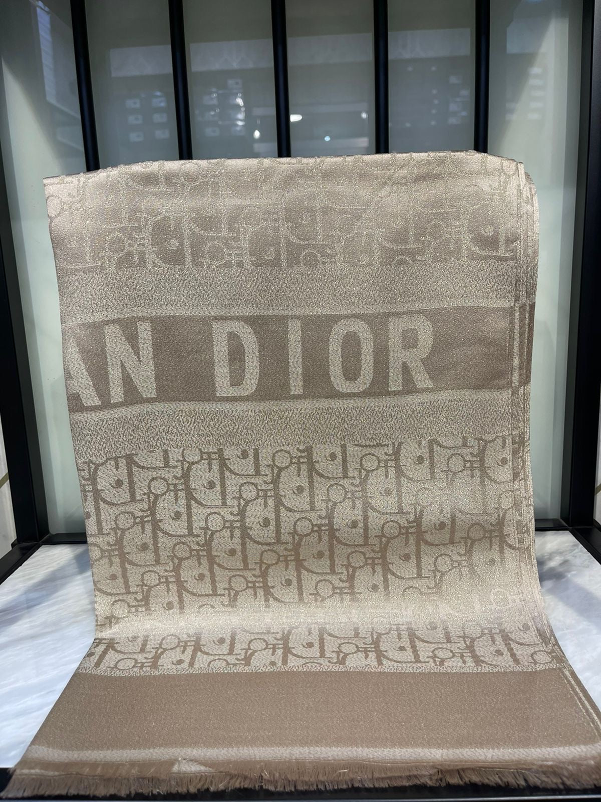 Christian Dior Scarf