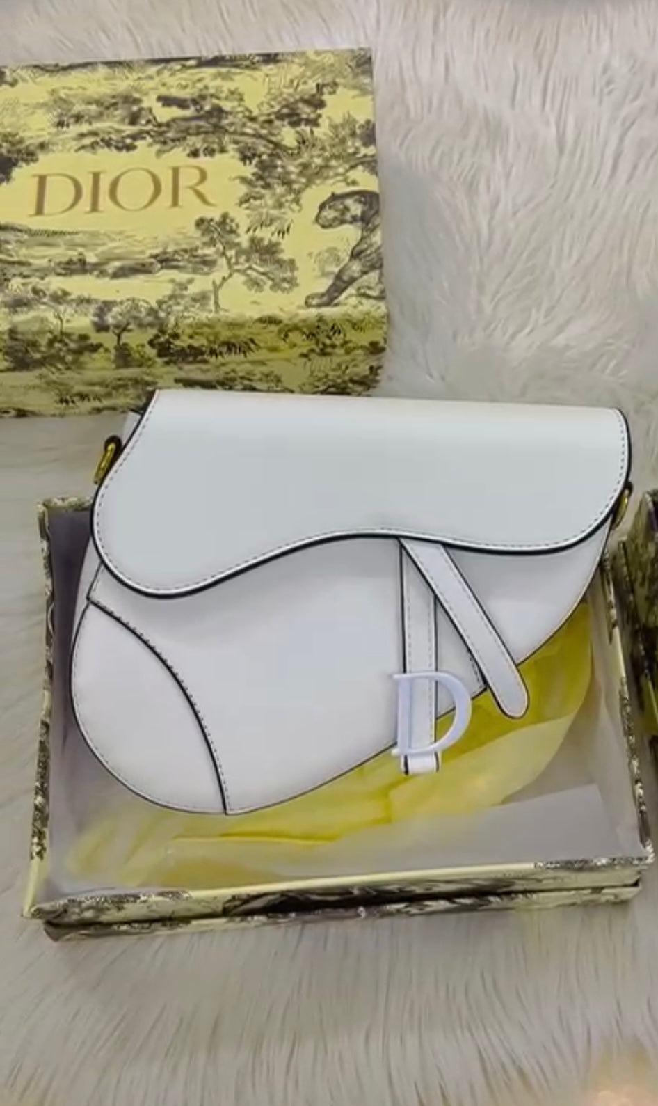 Dior Saddle bag with Brand Box