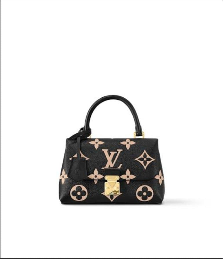 Imported LV Bag with Box