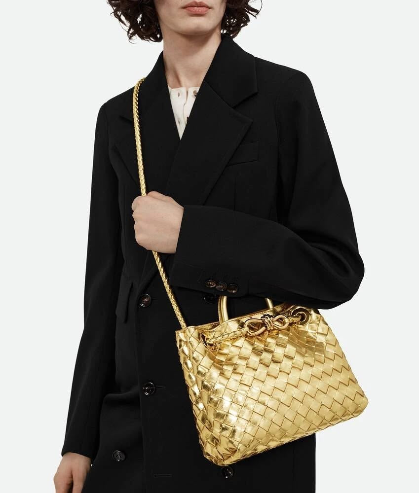 BOTTEGA VENETA BV Andioma Bag with Brand Box - Small