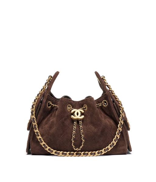 CHANEL 25 Hobo Small in Suede