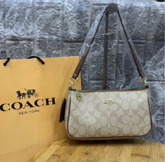 Coach Nolita 19 with Brand Box